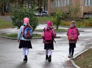 Wood burners polluting rural homes more than traffic