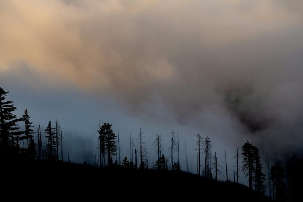 Clean Air Fund launches major drive to cut soot emissions