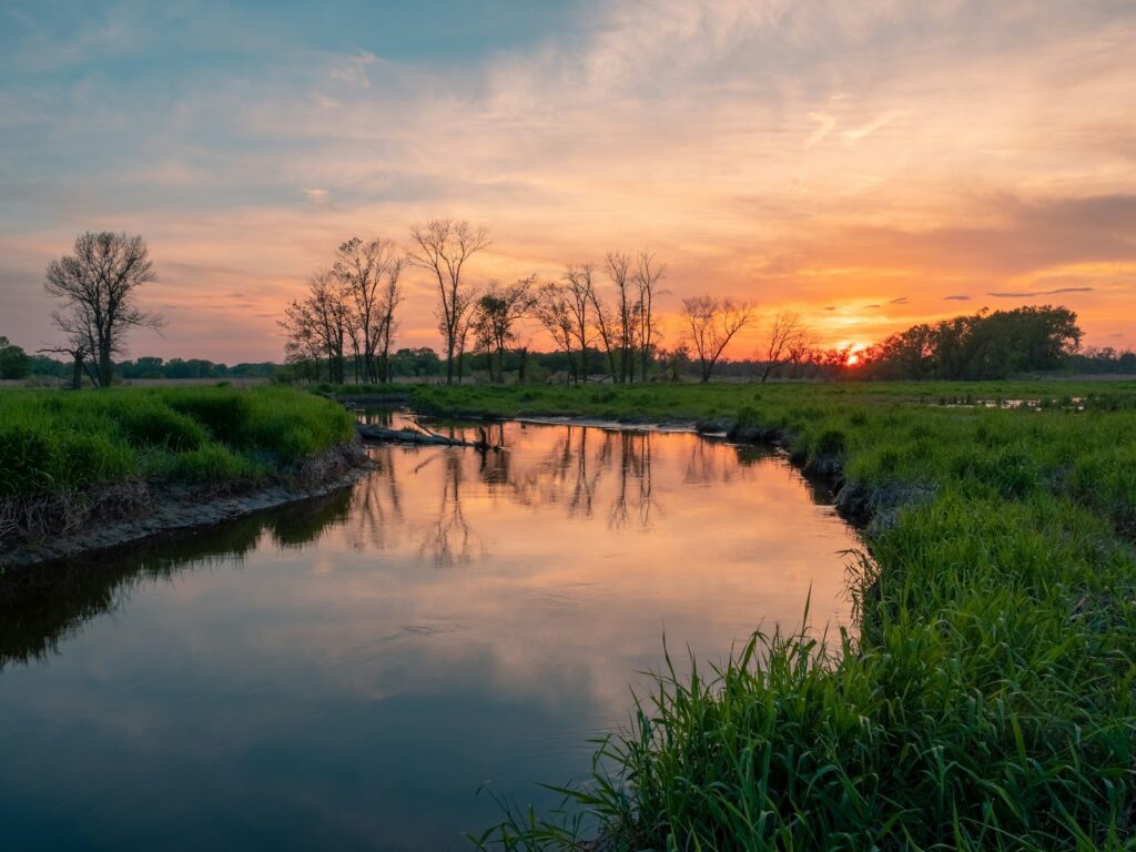 Green infrastructure plan puts nature in the frame