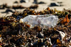 National Day of Action against plastic pollution across UK this weekend