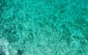 PlantSea plastic-free film is a water-soluble game-changer
