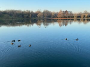 These strategic policy recommendations turn natural capital into critical infrastructure