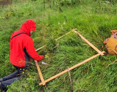 River managers need to understand the real impact of Himalayan balsam