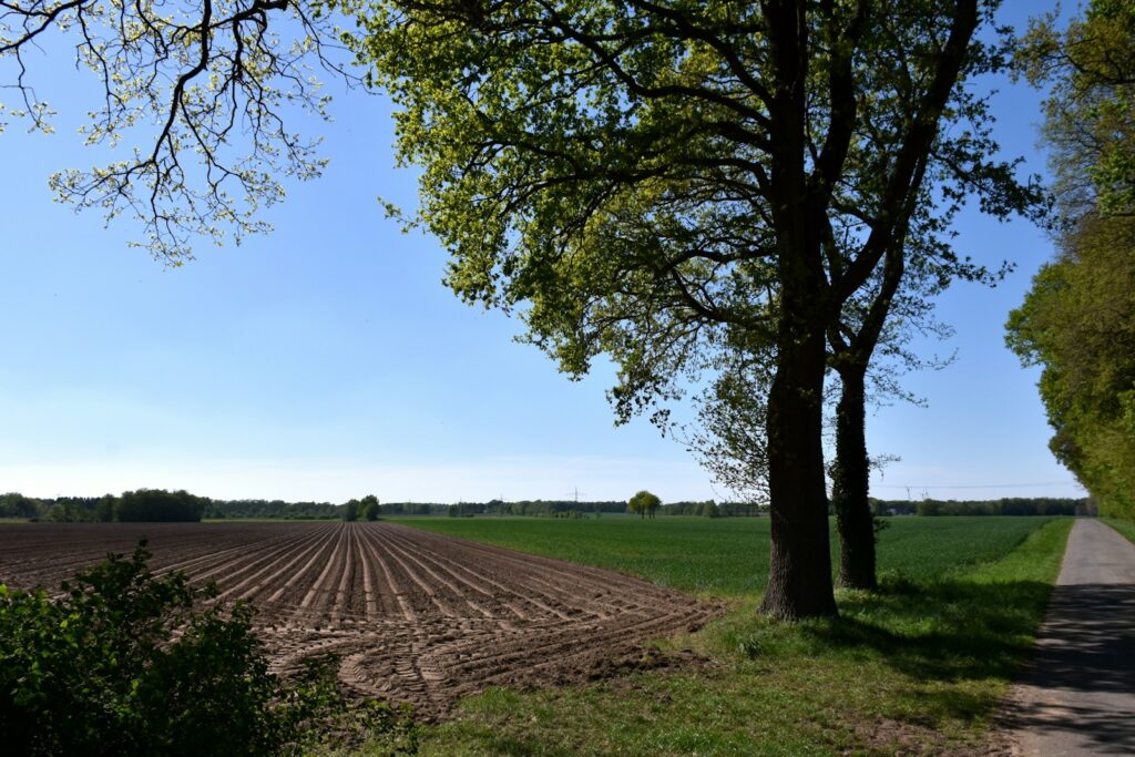 Leeds biochar design promises 75% agro-emissions cut and carbon capture