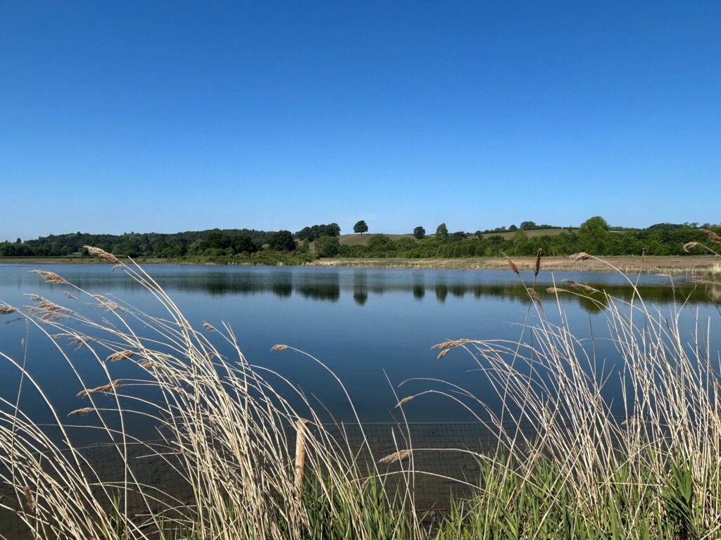 Newbold Quarry: from depleted mineral void to vital wetland habitat