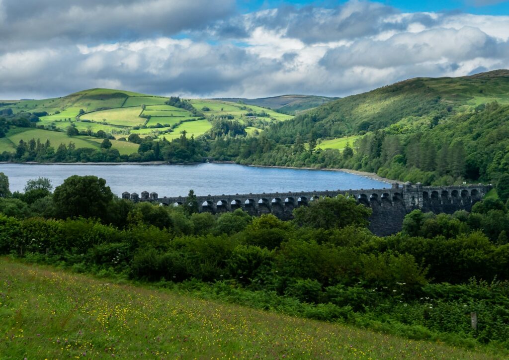 Drought-proofing the UK: behavioural change is fastest route to resilience