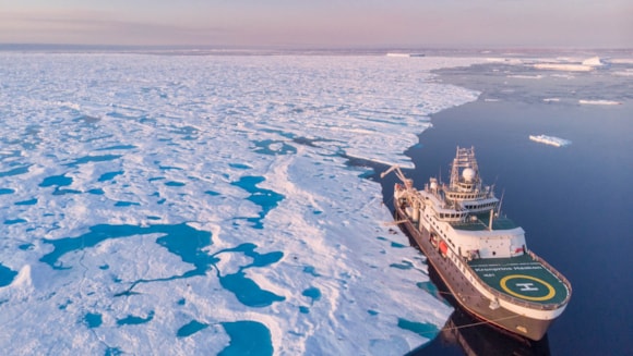 Irreversible shift in Arctic Ocean chemical balance disrupts food chain