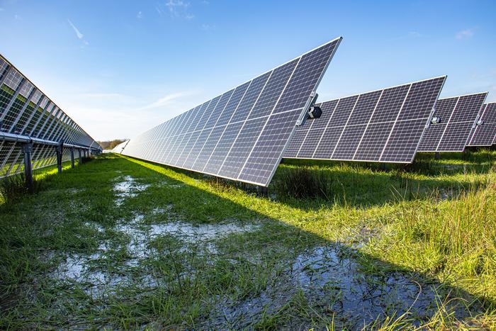 Solar parks on rewetted peatlands can boost bird diversity