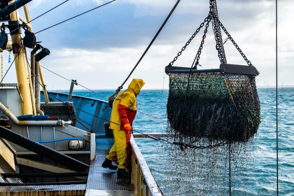 Deadliest catch: the cost of poor visibility in fisheries